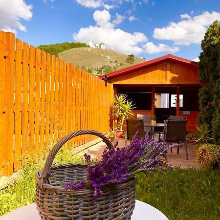 Guesthouse Mikulas Mikulov - Free Parking In The City Center 외부 사진