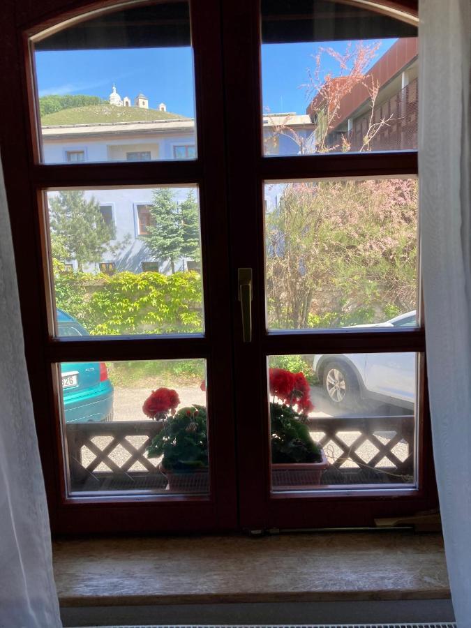 Guesthouse Mikulas Mikulov - Free Parking In The City Center 외부 사진