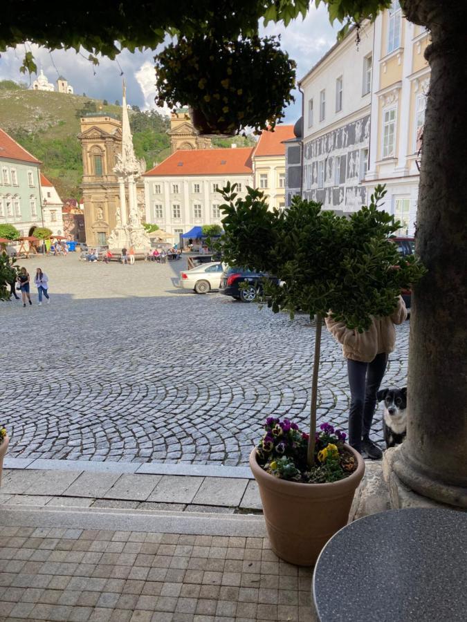 Guesthouse Mikulas Mikulov - Free Parking In The City Center 외부 사진