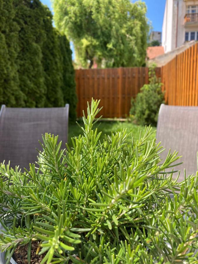 Guesthouse Mikulas Mikulov - Free Parking In The City Center 외부 사진