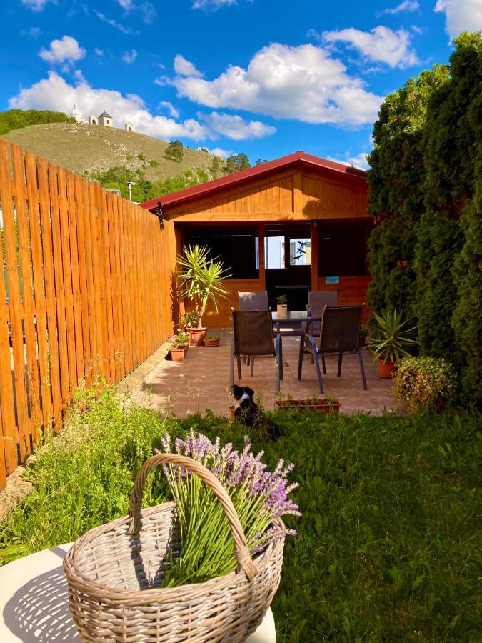 Guesthouse Mikulas Mikulov - Free Parking In The City Center 외부 사진