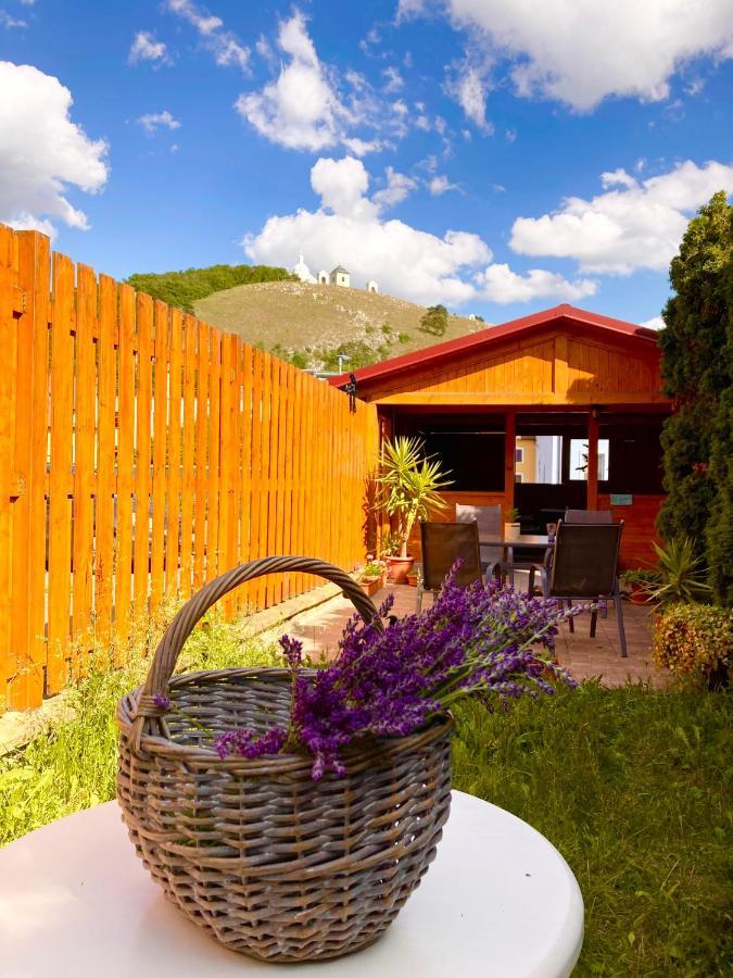 Guesthouse Mikulas Mikulov - Free Parking In The City Center 외부 사진