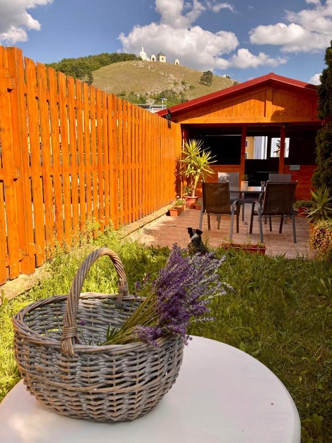 Guesthouse Mikulas Mikulov - Free Parking In The City Center 외부 사진