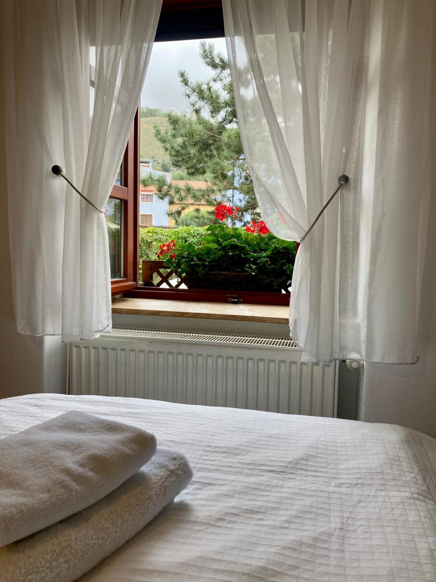 Guesthouse Mikulas Mikulov - Free Parking In The City Center 외부 사진